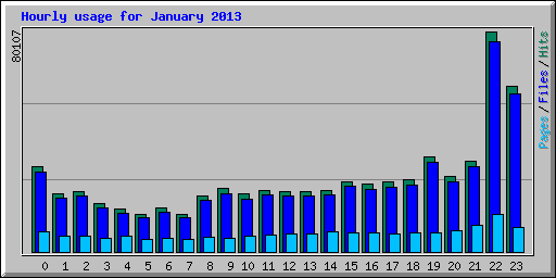 Hourly usage for January 2013