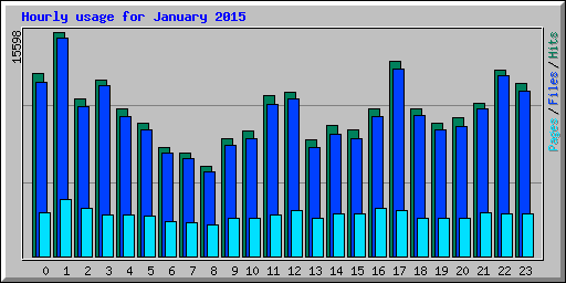 Hourly usage for January 2015