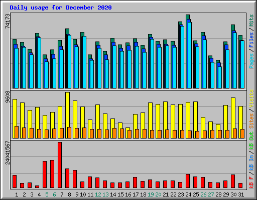 Daily usage for December 2020