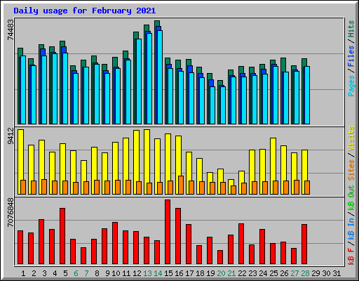 Daily usage for February 2021