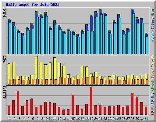 Daily usage for July 2021