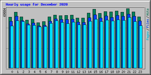 Hourly usage for December 2020