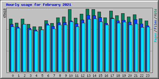 Hourly usage for February 2021