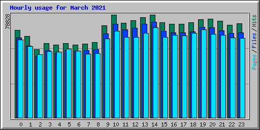 Hourly usage for March 2021