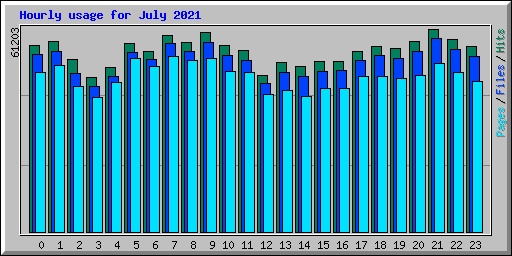 Hourly usage for July 2021