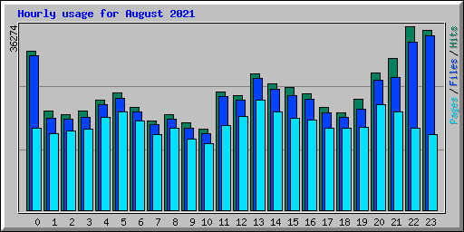 Hourly usage for August 2021