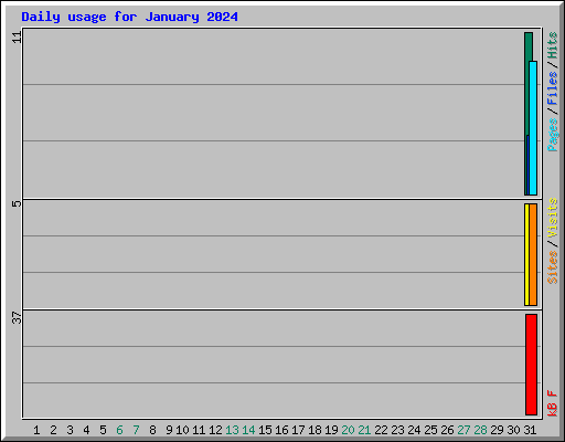 Daily usage for January 2024