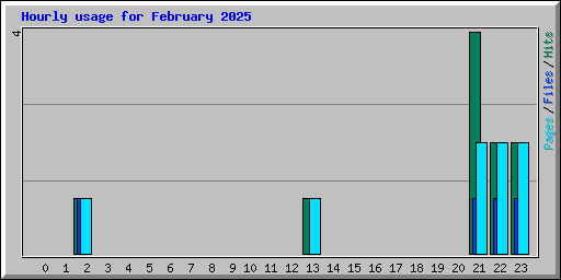 Hourly usage for February 2025