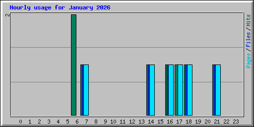 Hourly usage for January 2026